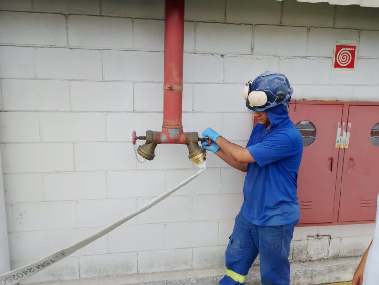 WhatsApp Image 2026-02-26 at 09.22.24