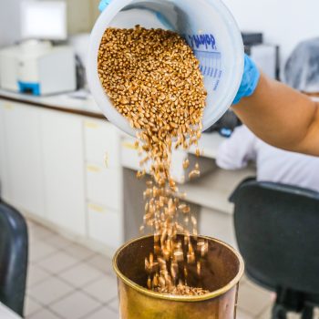 laboratorio01